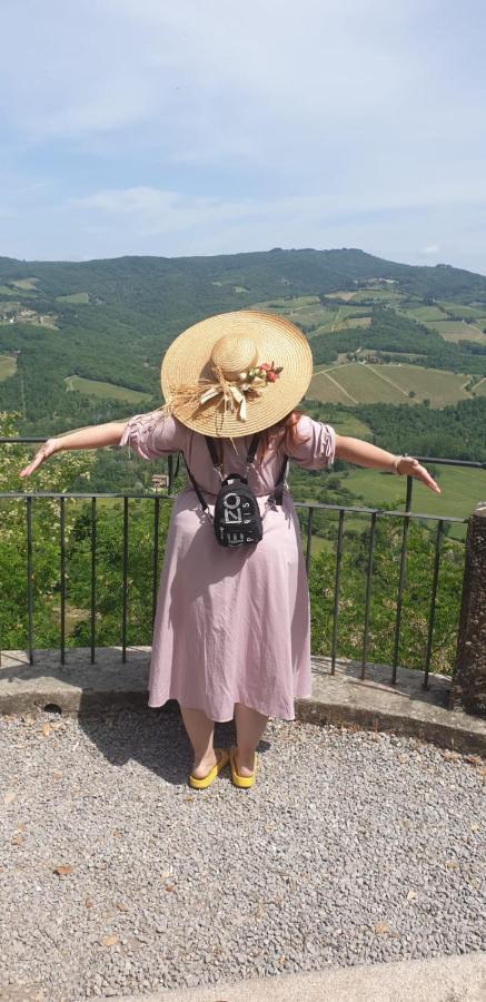 La Casa Di Paride Lejlighed Greve in Chianti Eksteriør billede